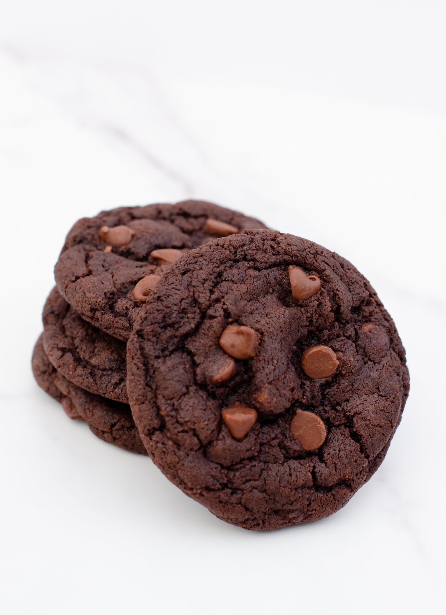Double Chocolate Chip Cookie
